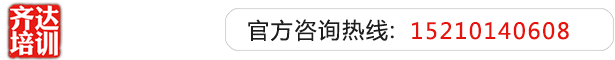 日我,使劲日我小骚笔AV齐达艺考文化课-艺术生文化课,艺术类文化课,艺考生文化课logo